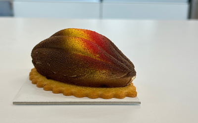 Cocoa Pod