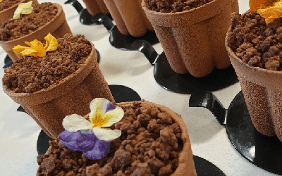 Γλαστράκι Black Forest