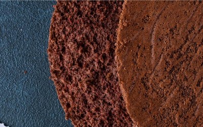 Extra Dark Sponge Cake