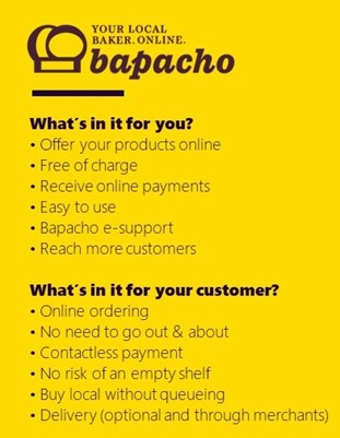 bapacho_website.jpg