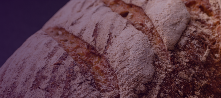 Bread Ingredients