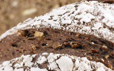 German type multicereal bread