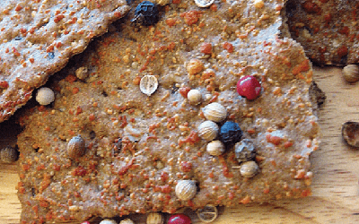 Multicereal Crackers (flakes)