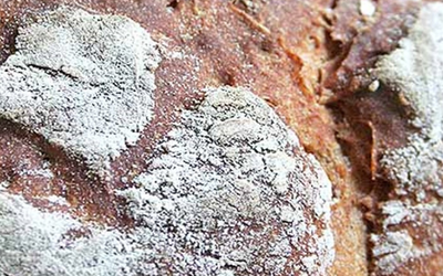 Rye bread with dense structure