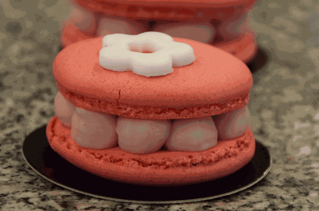 Forest fruit Macaron — English