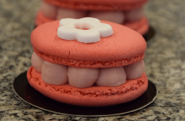 Forest fruit Macaron