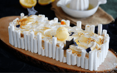 Lemon log