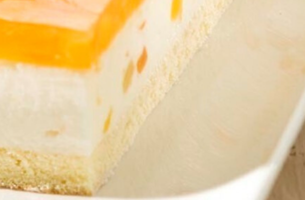 Cream bavaroise