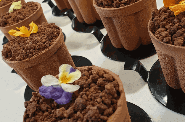 Black Forest Flower Pot — English