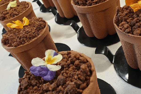 Black Forest Flower Pot