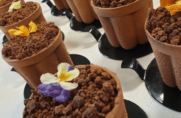 Black Forest Flower Pot